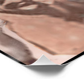 Julius Caesar Poster (Hoek)