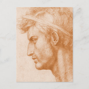 Julius Caesar van Andrea del Sarto Briefkaart