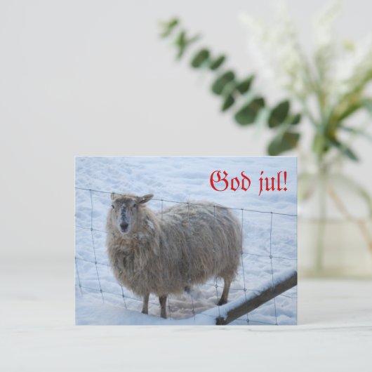 Julkort - Fåret Fjun Briefkaart (Staand voorkant)