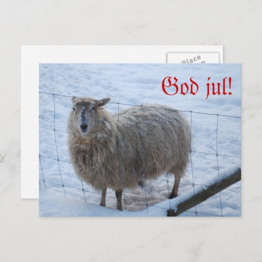 Julkort - Fåret Fjun Briefkaart (Voorkant / Achterkant)