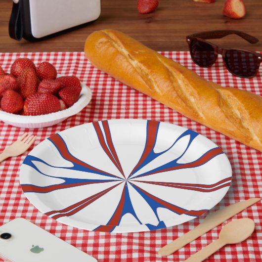 july 4 , 001 Paper Plate Papieren Bordje (Picknick)