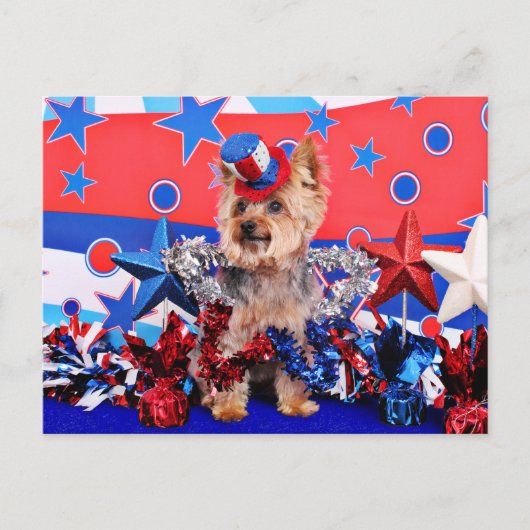 July 4th - Yorkie - Vinnie Briefkaart (Voorkant)