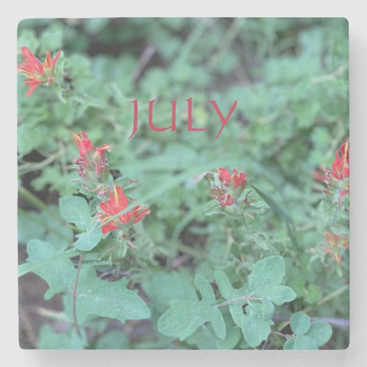 JULY STENEN ONDERZETTER (Voorkant)