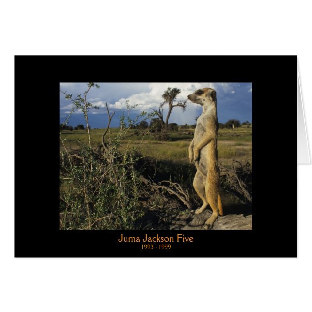 Juma - Legends-kaarten (Voorkant Horizontaal)