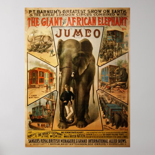 Jumbo, het Giant African Elephant Poster (Voorkant)