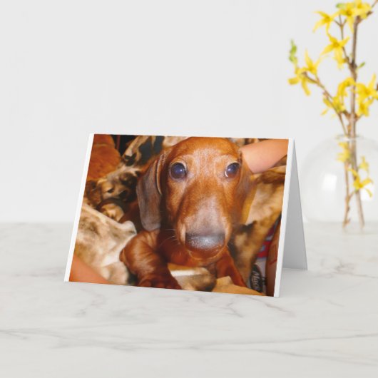 Jumbo Kaart (Gele Bloem)