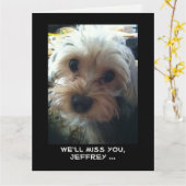 JUMBO Pensioen Gefeliciteerd met alle Schattigee h Kaart (Gele Bloem)