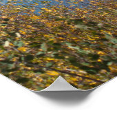 Jumbo Reservoir Poster (Hoek)