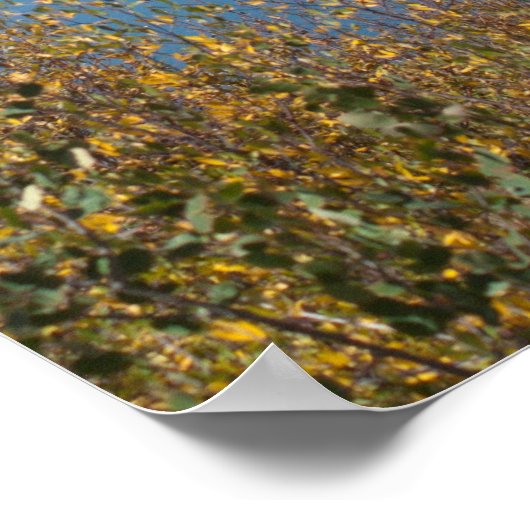 Jumbo Reservoir Poster (Hoek)