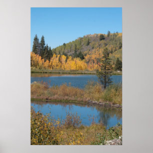 Jumbo Reservoir Poster