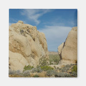 Jumbo Rocks in Joshua Tree National Park Magneet (Voorkant)