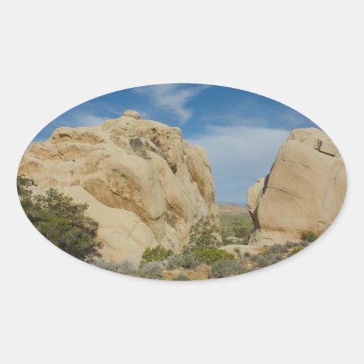 Jumbo Rocks in Joshua Tree National Park Ovale Sticker (Voorkant)