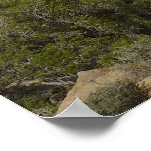 Jumbo Rocks in Joshua Tree National Park Poster (Hoek)