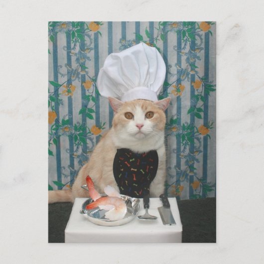 Jumbo Shrimpies! Briefkaart (Voorkant)