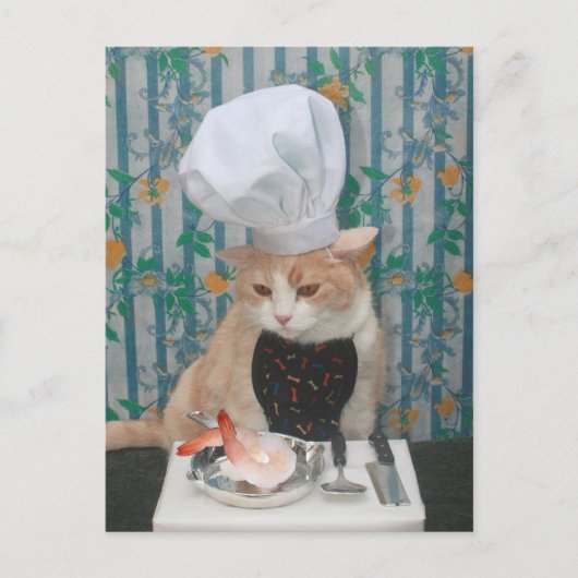 Jumbo Shrimpies! Briefkaart (Voorkant)