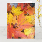 Jumbo Wenskaart - de Bladeren van de Esdoorn Kaart (Gele Bloem)