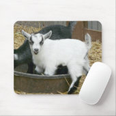 Jummie! Muismat (Met muis)