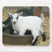 Jummie! Muismat (Voorkant)