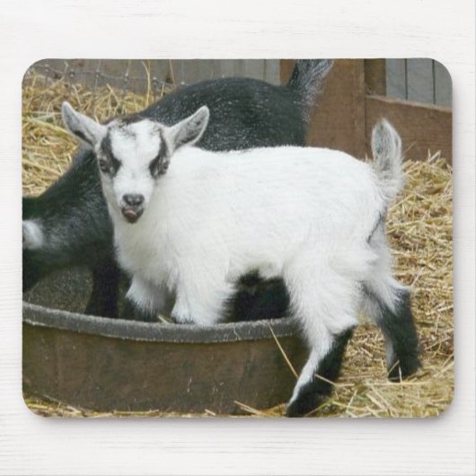 Jummie! Muismat (Voorkant)