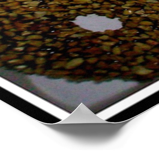 JUMMY DONUTS POSTER (Hoek)