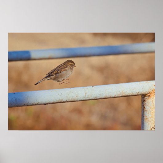 Jump Poster (Voorkant)