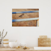 Jump Poster (Keuken)