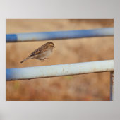 Jump Poster (Voorkant)