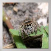 Jumper Poster (Voorkant)