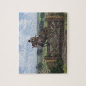 Jumper Puzzle over land Legpuzzel (Verticaal)