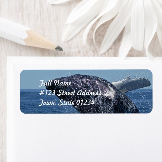 Jumping Bultrug Whale Mailing Labels (Insitu)