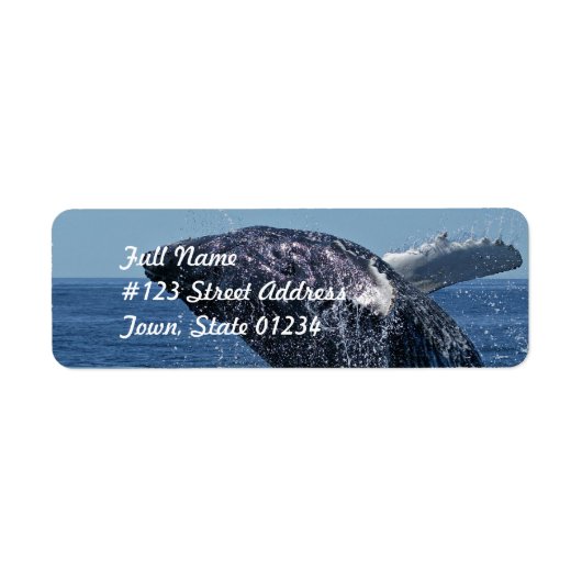 Jumping Bultrug Whale Mailing Labels (Voorkant)