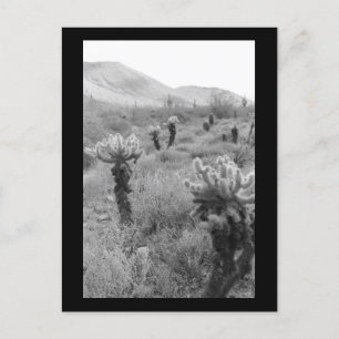 Jumping Cholla Cactus Desert B&W Foto Briefkaart