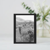 Jumping Cholla Cactus Desert B&W Foto Briefkaart (Staand voorkant)