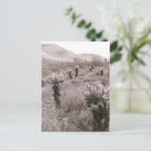 Jumping Cholla Cactus Desert B&W Foto-Briefkaarten Briefkaart (Staand voorkant)