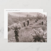 Jumping Cholla Cactus Desert B&W Foto-Briefkaarten Briefkaart (Voorkant / Achterkant)