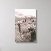 Jumping Cholla Cactus Desert B&W Foto-Prints Canvas Afdruk (Voorkant)