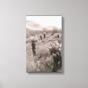 Jumping Cholla Cactus Desert B&W Foto-Prints Canvas Afdruk