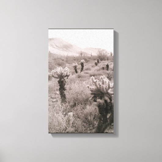 Jumping Cholla Cactus Desert B&W Foto-Prints Canvas Afdruk (Voorkant)