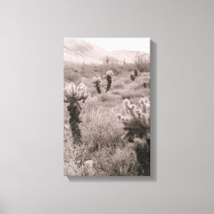 Jumping Cholla Cactus Desert B&W Foto-Prints Canvas Afdruk