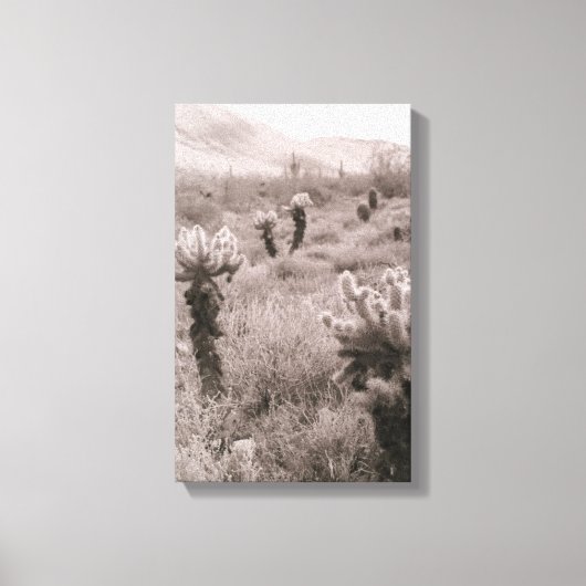 Jumping Cholla Cactus Desert B&W Foto-Prints Canvas Afdruk (Voorkant)