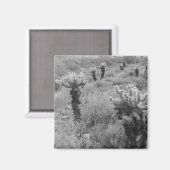 Jumping Cholla Cactus Desert koelkast Magnets Magneet (Voorkant / Achterkant)