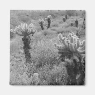 Jumping Cholla Cactus Desert koelkast Magnets Magneet