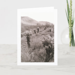 Jumping Cholla Cactus Desert Photo Wenskaart Kaart
