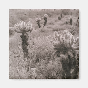 Jumping Cholla Cactus Desert Refkoelkast Magnet