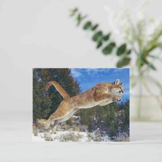 Jumping Cougar Briefkaart (Staand voorkant)