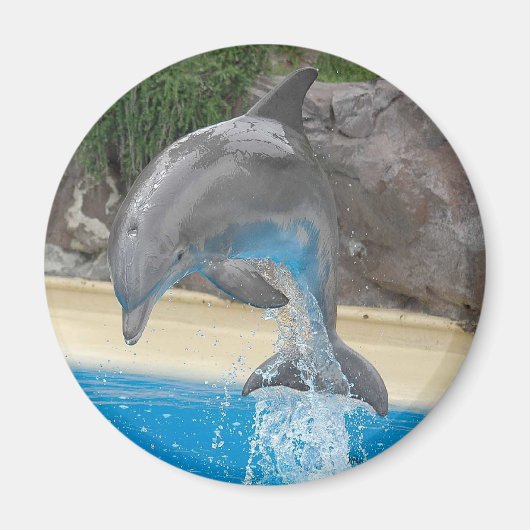 Jumping Dolphin Magnet (Voorkant)