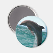 Jumping Dolphin Magnet (Voorkant / Achterkant)