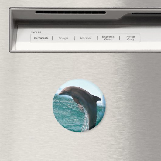 Jumping Dolphin Magnet (Insitu (Vaatwasser))