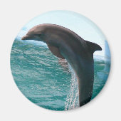Jumping Dolphin Magnet (Voorkant)