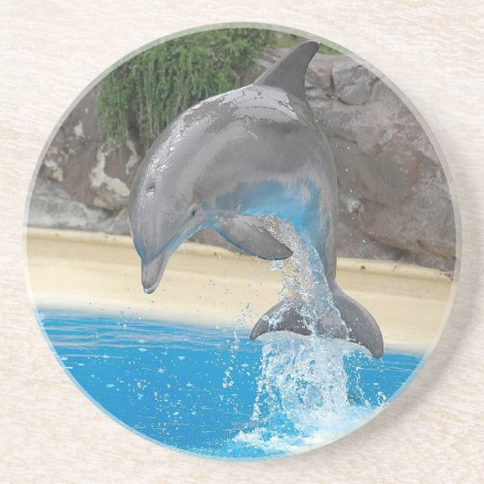 Jumping Dolphin Onderzetter (Voorkant)